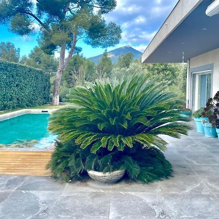 Chambre Luxe Dans Villa De Standing Avec Piscine, Acces Discret Et Independant, Terrasse Arboree Et Parking Prive La Valette-du-Var Dış mekan fotoğraf