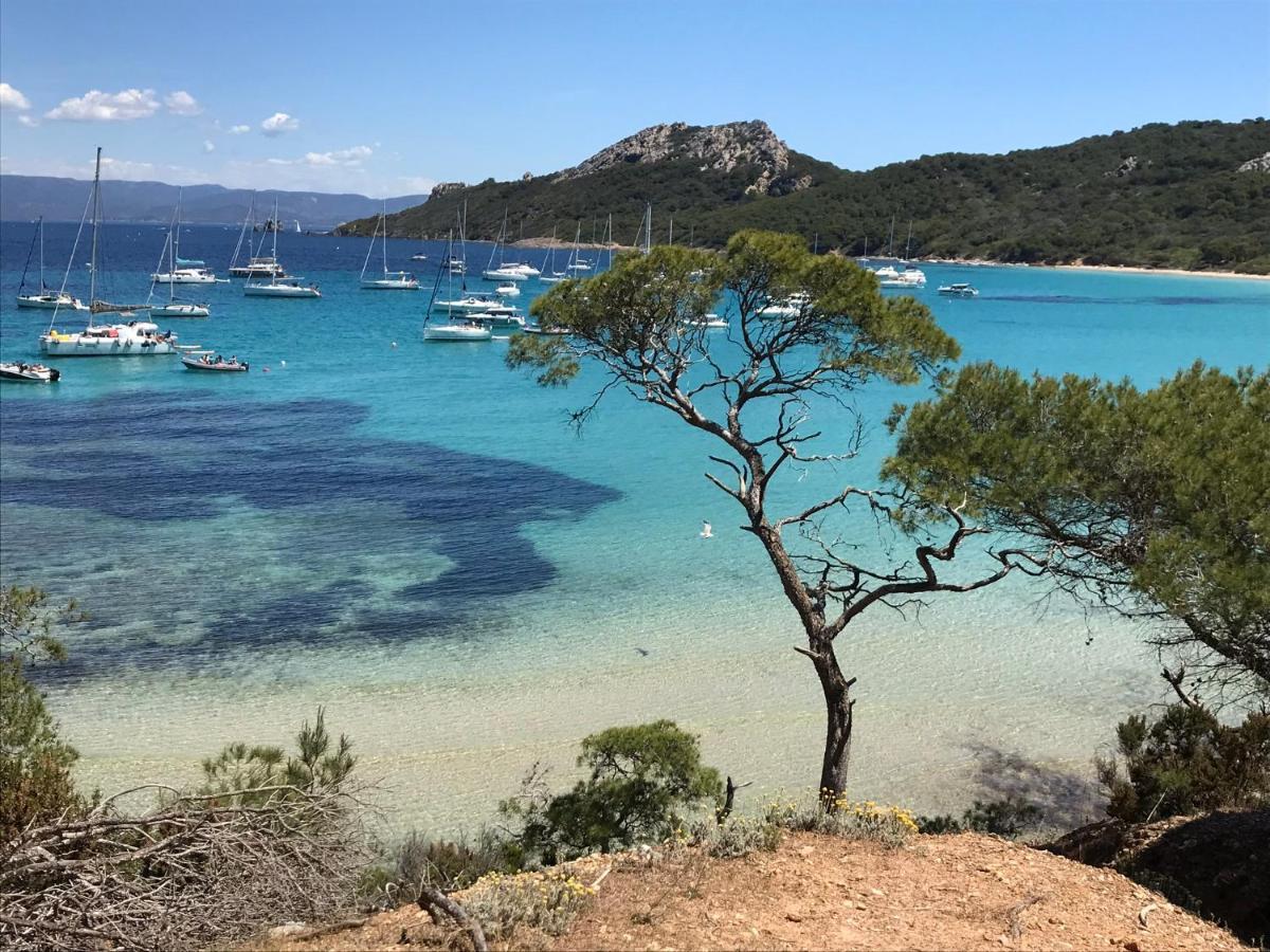 Chambre Luxe Dans Villa De Standing Avec Piscine, Acces Discret Et Independant, Terrasse Arboree Et Parking Prive La Valette-du-Var Dış mekan fotoğraf