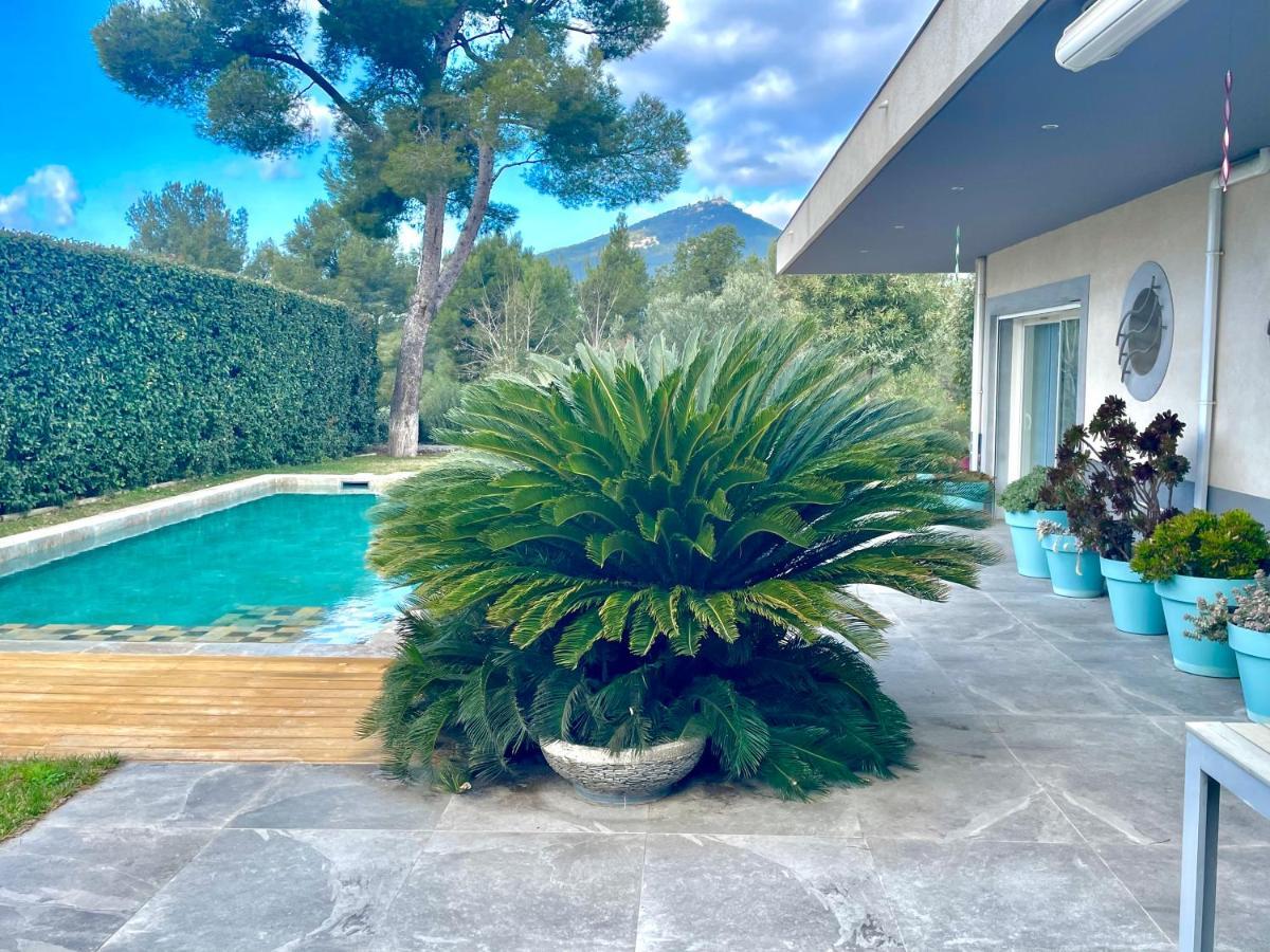 Chambre Luxe Dans Villa De Standing Avec Piscine, Acces Discret Et Independant, Terrasse Arboree Et Parking Prive La Valette-du-Var Dış mekan fotoğraf
